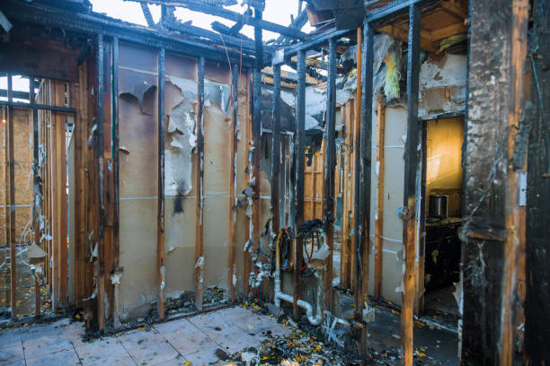 Professional Smoke Damage Removal technician working in Cortez, FL