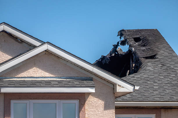 Top rated local Smoke Damage Removal specialists in Cortez, FL